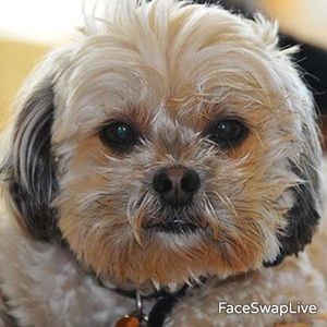 Meet your Posher, Kristy